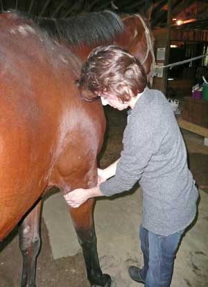 Lily Baddour gives a Reiki treatment to her horse Pilot. (Courtesy photo)