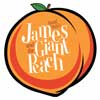 Magic and adventure ensue in middle school’s ‘James and the Giant Peach’