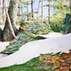 Harvard artist Pete Jackson captures nature in watercolor
