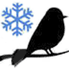 It's Only Natural: Birds in Winter