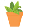 Annuals, perennials, shrubs, and veggies: May 16 Garden Club sale has something for every gardener