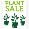 Garden Club Plant Sale attracts novice gardeners to veteran green thumbs