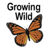 Birds, bees, and biodiversity: ‘Growing Wild’ initiative helps people access native plants