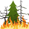 Wildfires can happen here: Remembering the Oxbow fire