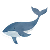 Scooped up and spewed out: Creator of ‘In the Whale’ will show and discuss his film at Harvard Senior Center