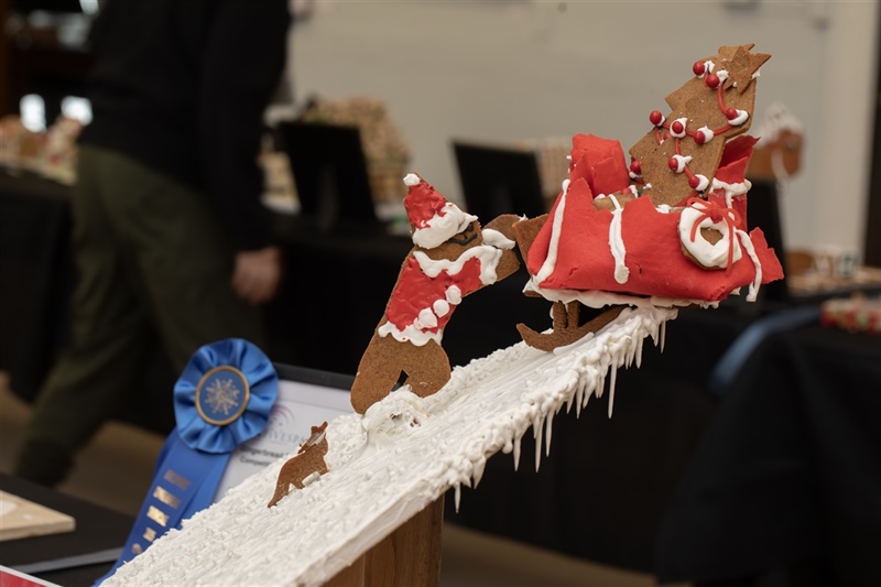 2025_gingerbread_8998